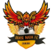 Logo do Quase Nada FC